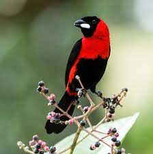 Test 12