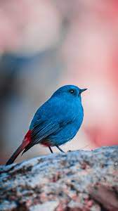Test 14
