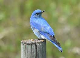 Test 18