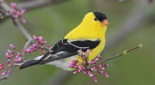 Test 20
