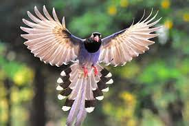 Test 21