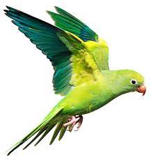 Test 9