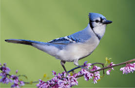 Test 30