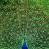 Test 23
